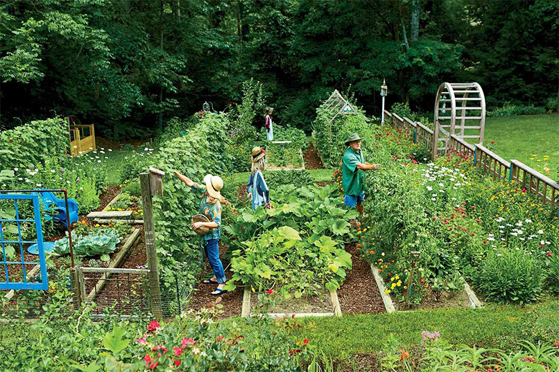 Several Ways to Style Your Vegetable Garden