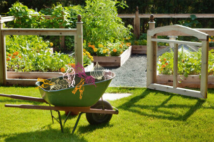 Several Ways to Style Your Vegetable Garden