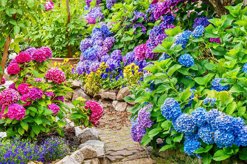 THINGS YOU NEED TO START A FLOWER GARDEN