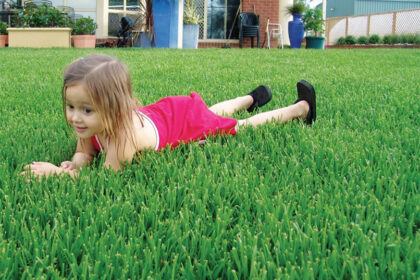 The Best Grass for Lawns