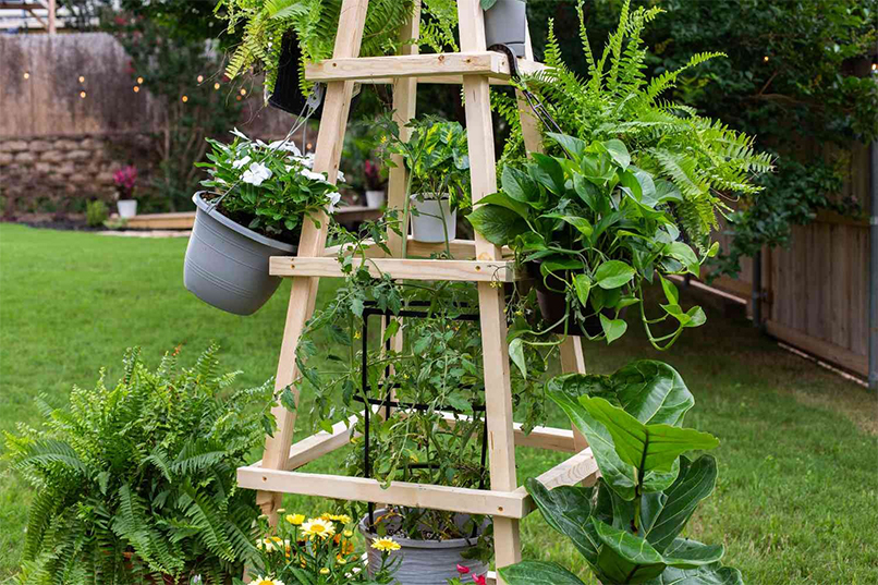 Top DIY Garden Trellises