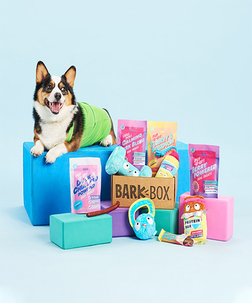 🐶 1. Monthly Subscription Boxes