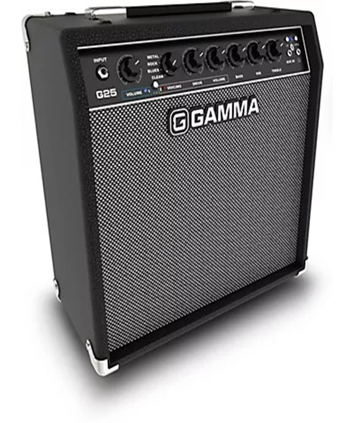 2. Amplifiers & Effects
