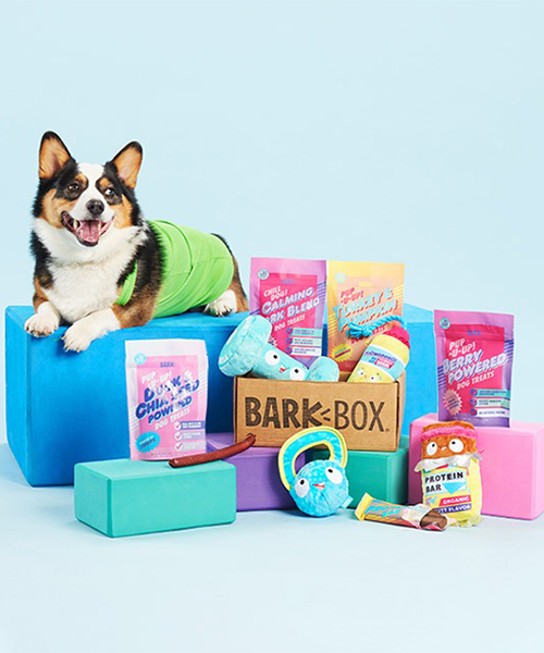 1. Monthly Subscription Boxes