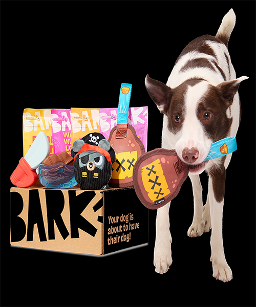 2. Super Chew Box