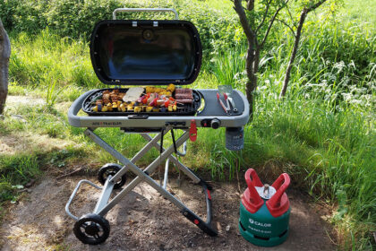 Weber Review